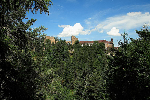 Замок Вельгартице